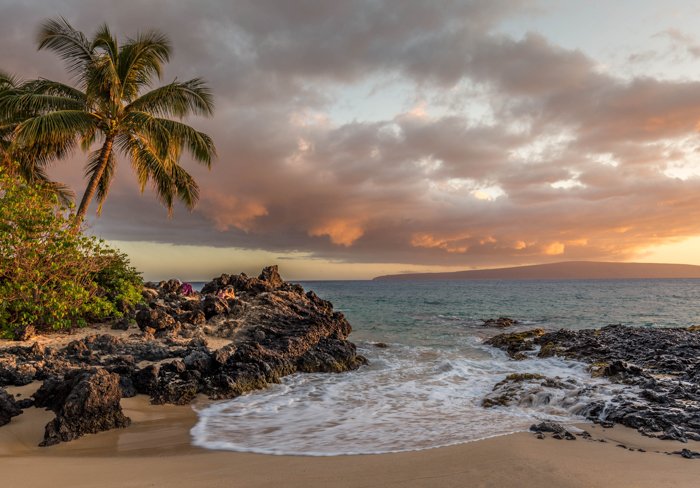escena de playa tropical