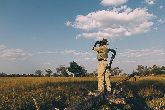 Un fotógrafo disparando en un paisaje cubierto de hierba: cómo vestirse para fotografiar la vida silvestre