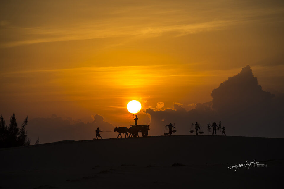 16. Nguyen-vu-Phuoc_phanrang