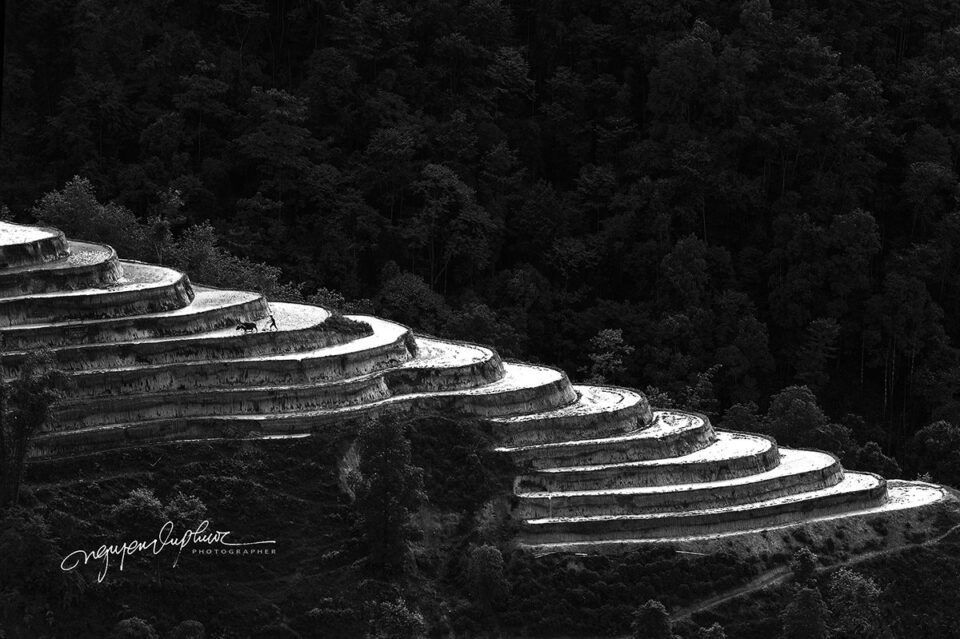 8. Nguyen-vu-Phuoc_hoangsuphi