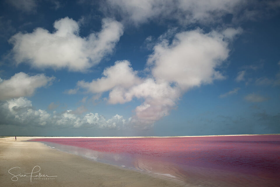 Lagunas Rosadas – Las Coloradas, México