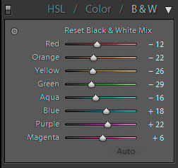 Mezcla de blanco y negro