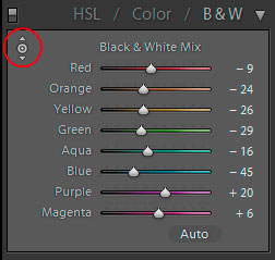 Ajuste directo en blanco y negro Ajuste directo en blanco y negro