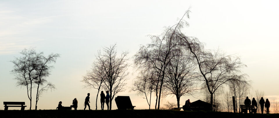 tarde en el parque