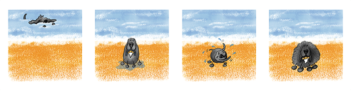 caricatura de un perro en el mar, empapado, tembloroso, esponjoso