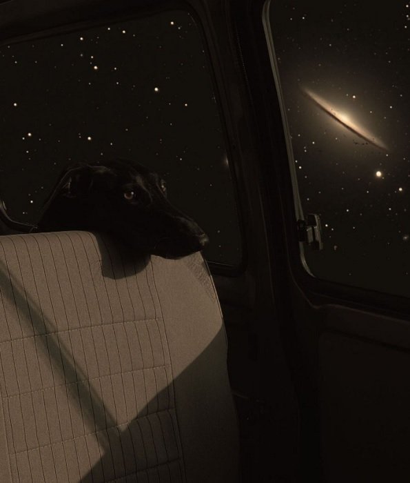Una imagen compuesta de un perro mirando por la ventana de un auto y hacia el espacio exterior