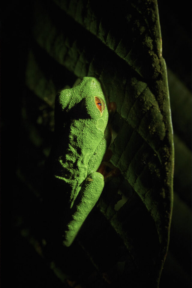 Costa Rica (4)