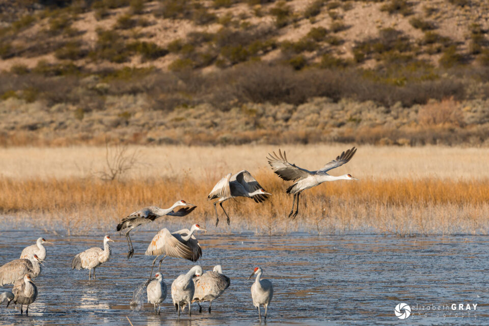 Exposición creativa-14