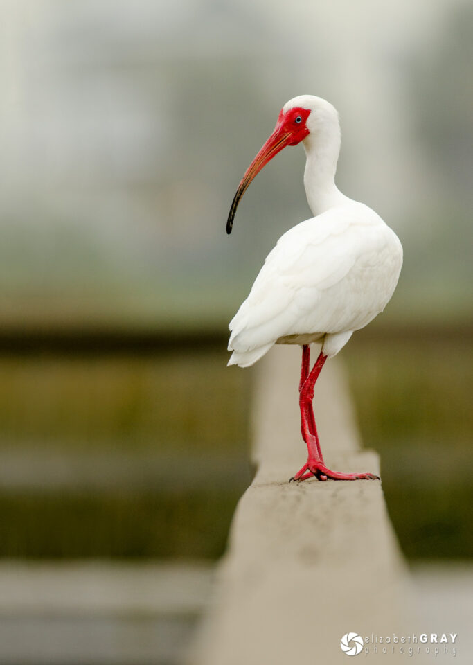 Exposición creativa-2