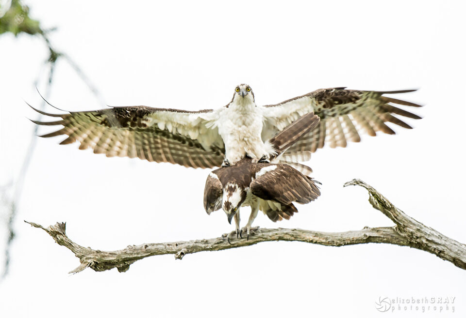 Exposición creativa-21