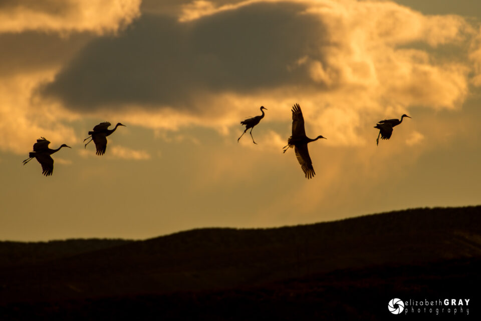 Caminando sobre las nubes