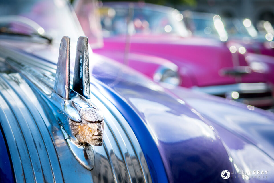 Exposición creativa-3