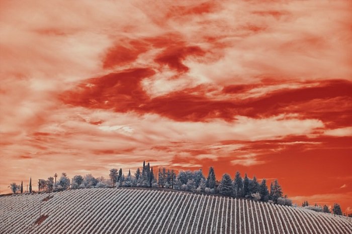 efecto infrarrojo creativo en una escena del cielo sobre un campo rodante