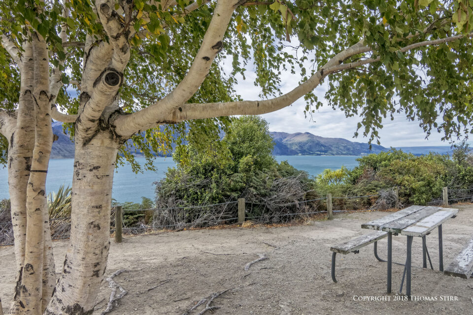 DSC_1843_DxOpequeño