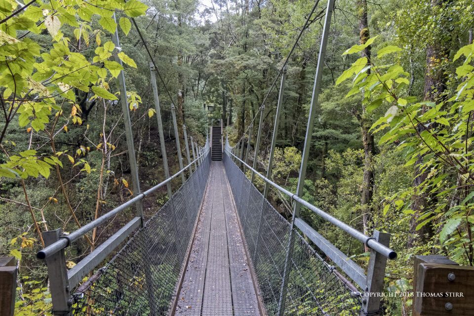 DSC_3750_DxOpequeño