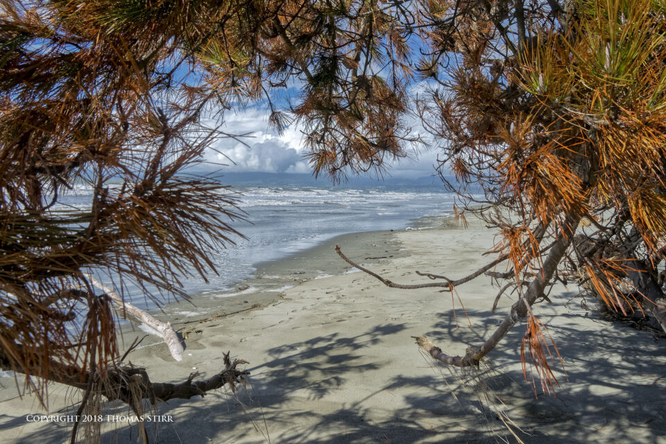 DSC_3951_DxOpequeño