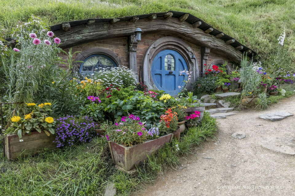 DSC_3977_DxOpequeñolibro