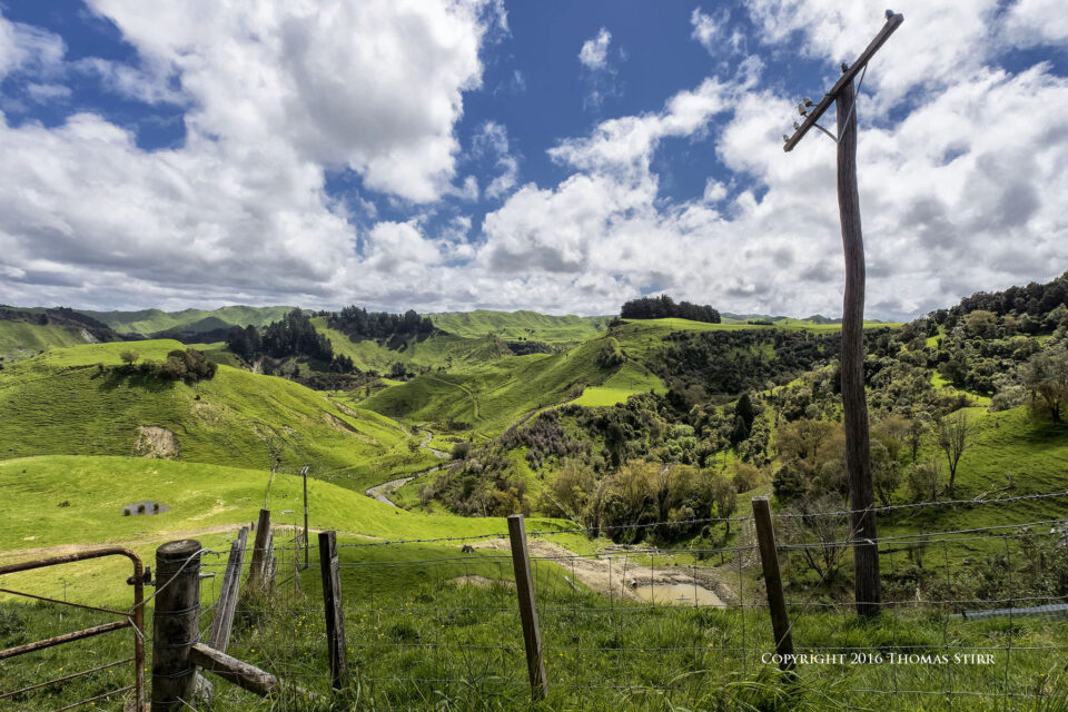 DSC_4225_DxOpequeñolibronuevo