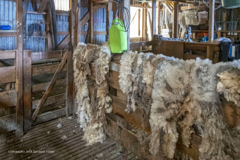 DSC_4401_DxOpequeño