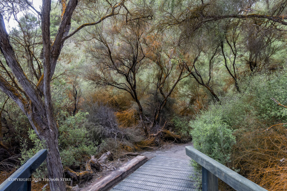 DSC_5044_DxOpequeñolibro
