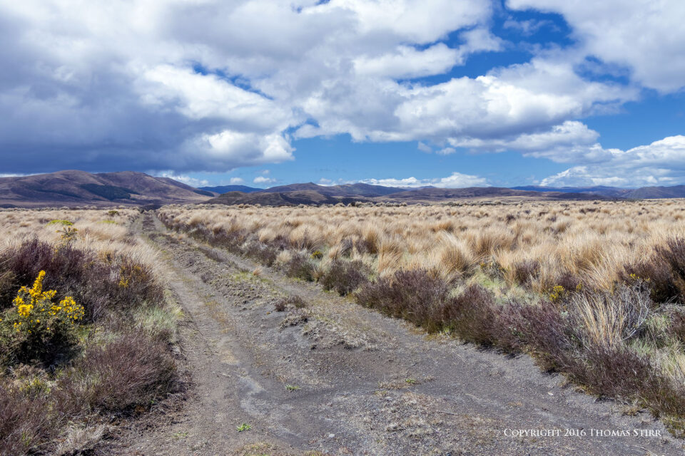 DSC_5287_DxOsmallnuevo