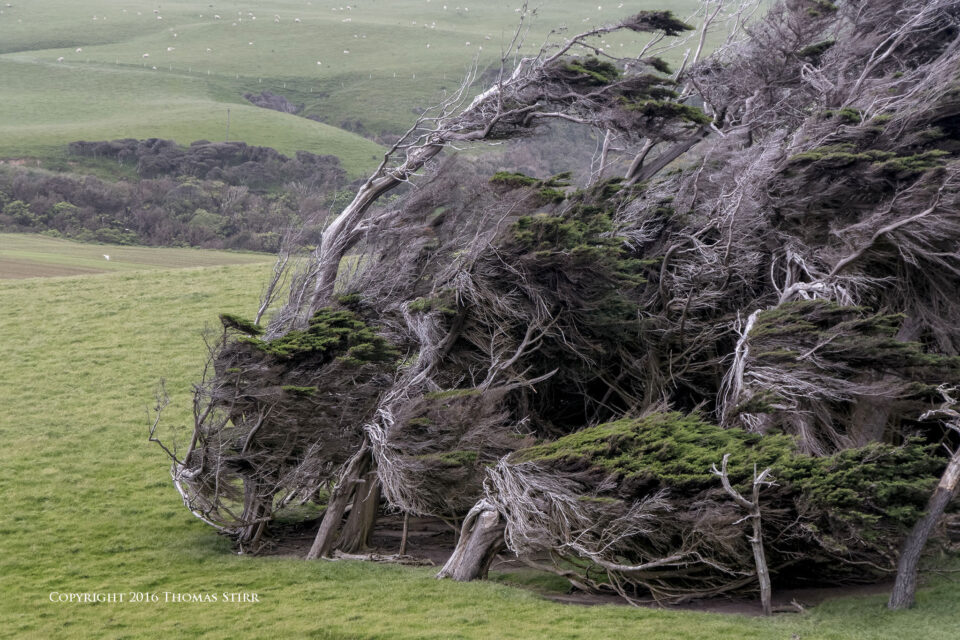 DSC_6611_DxOpequeñolibro