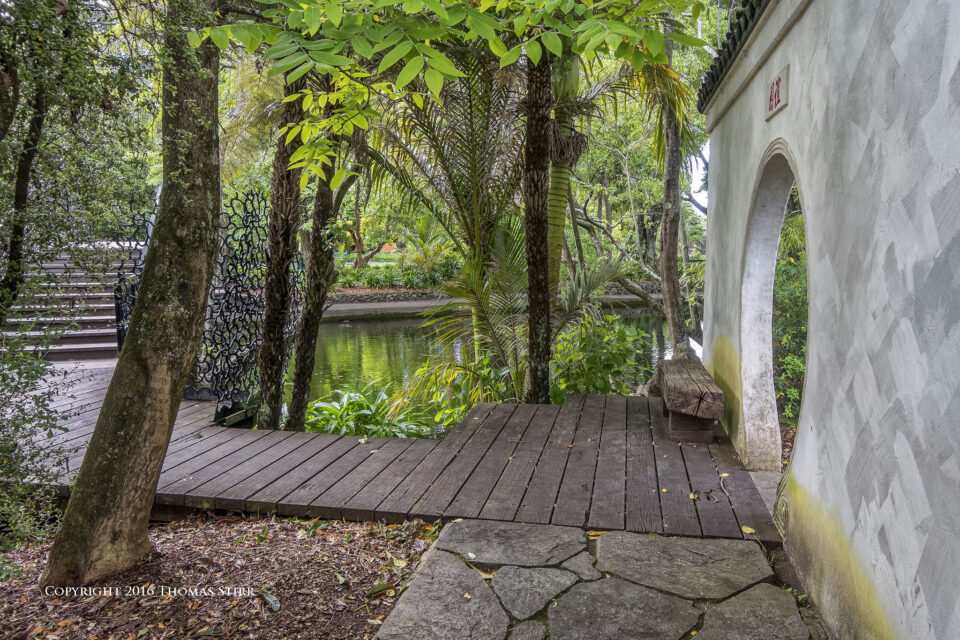 DSC_8645_DxOpequeñolibro