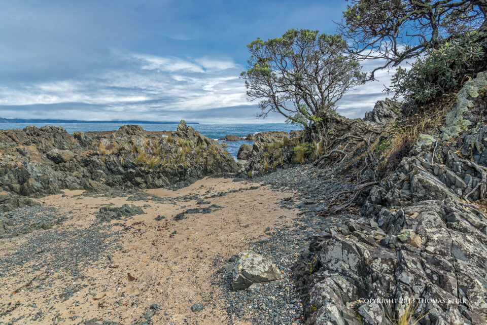 DSC_9277_DxOpequeñolibronuevo