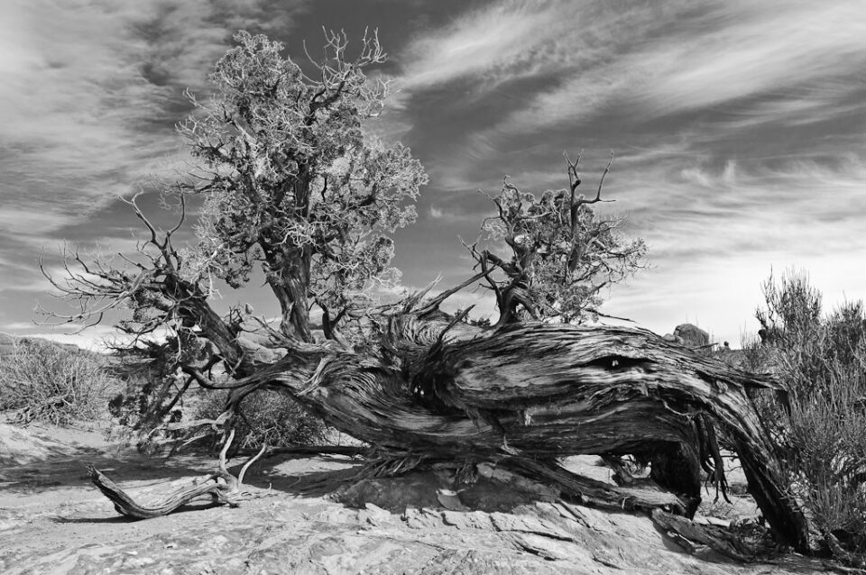 Cielo más oscuro Cielo más oscuro