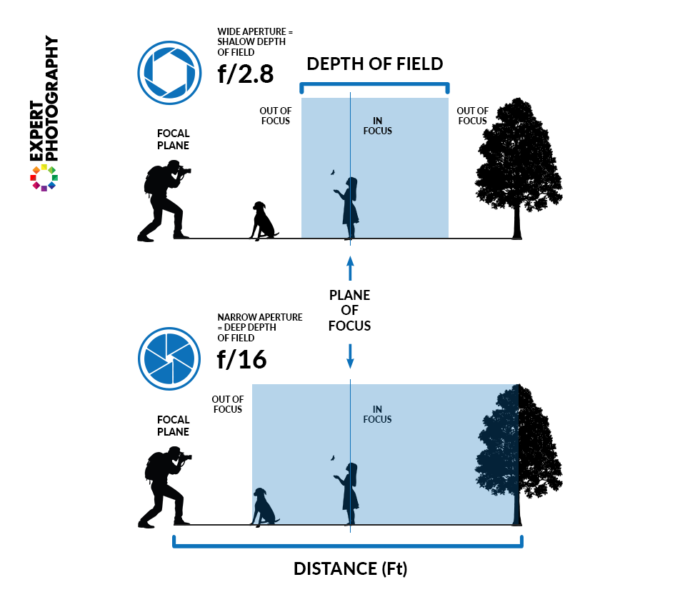 diagrama detallado que explica cómo la apertura afecta la profundidad de campo