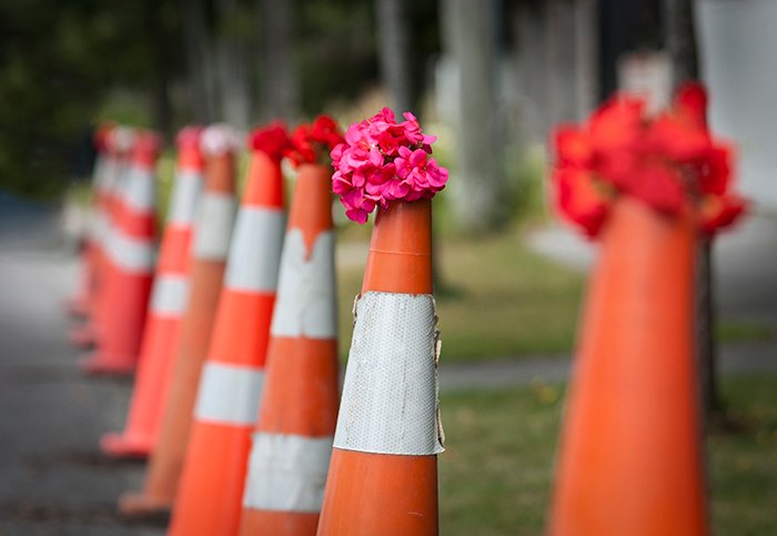una línea de conos de tráfico con racimos de flores rosas y rojas en la parte superior