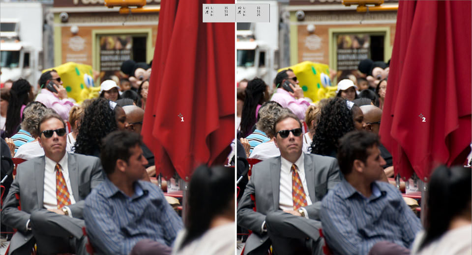 Figura 1_Sony_A55V_Embedded_JPEG_vs_ACR_Umbrella