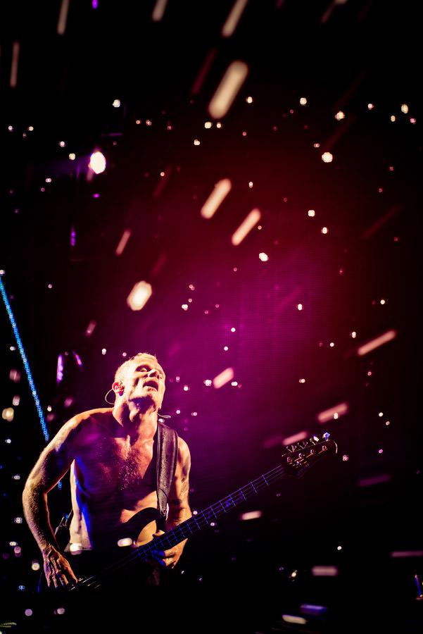 Pulga, Red Hot Chili Peppers