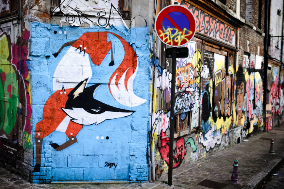 Graffiti de zorros en Amiens