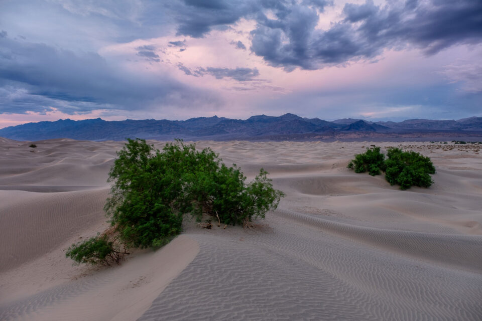 Dunas de arena de Mesquite, capturadas con XF 16-55 mm f/2.8 R LM WR