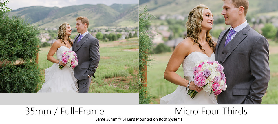 Full-Frame vs Micro Four Thirds Misma lente