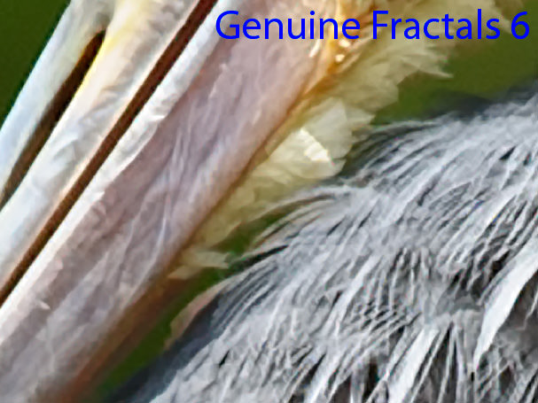 GF6 Redimensionar 4x Alto detalle GF6 Redimensionar 4x Alto detalle