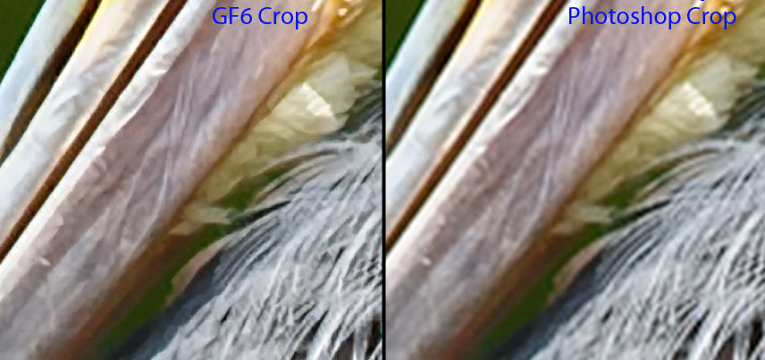 Comparación de Fractales Genuinos vs Photoshop Comparación de Fractales Genuinos vs Photoshop