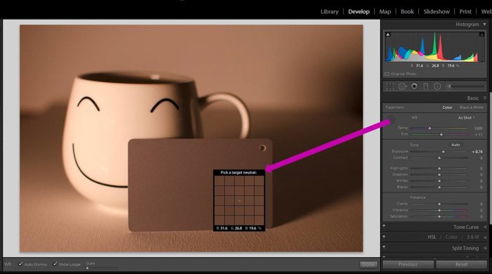 Una captura de pantalla que muestra cómo usar una tarjeta gris para la corrección de color en Lightroom