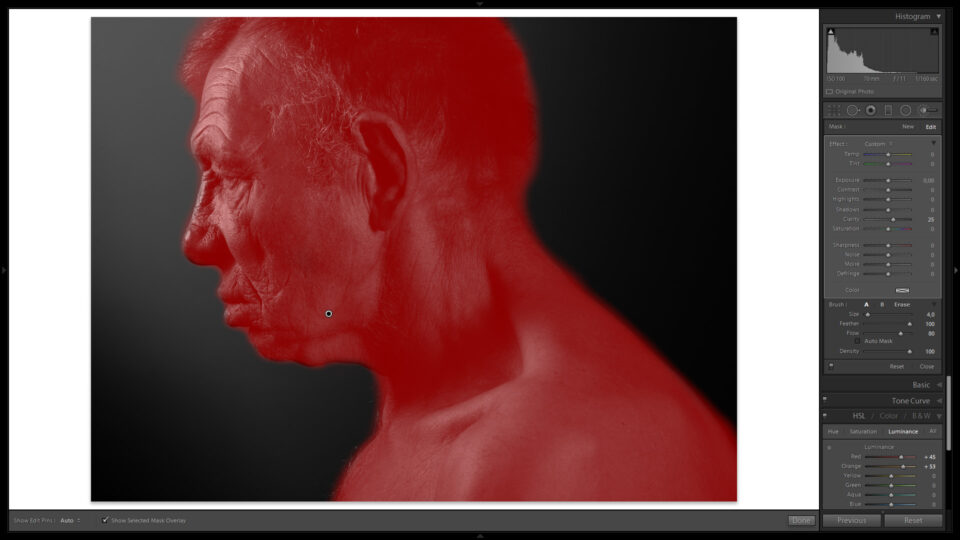 Blanco y negro de alto contraste con Lightroom_Primer pincel de ajuste