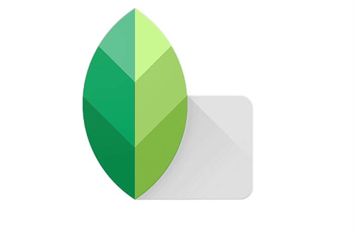 Icono de Snapseed de la aplicación de filtro de Instagram