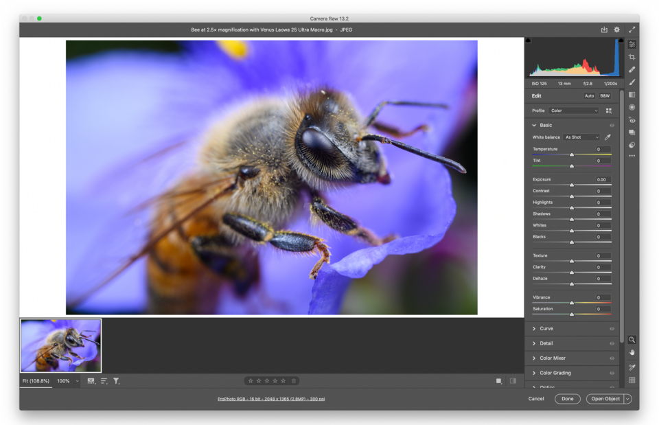 JPEG en Adobe Camera Raw