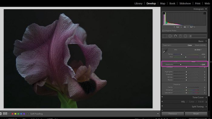 Captura de pantalla del trabajo con sombras y negros en Lightroom: control deslizante de exposición