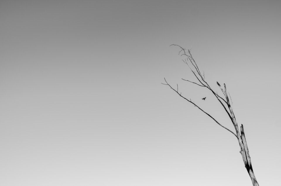 Minimalismo-2