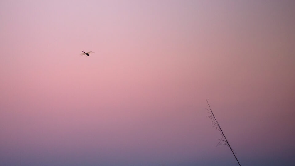 Minimalismo-5