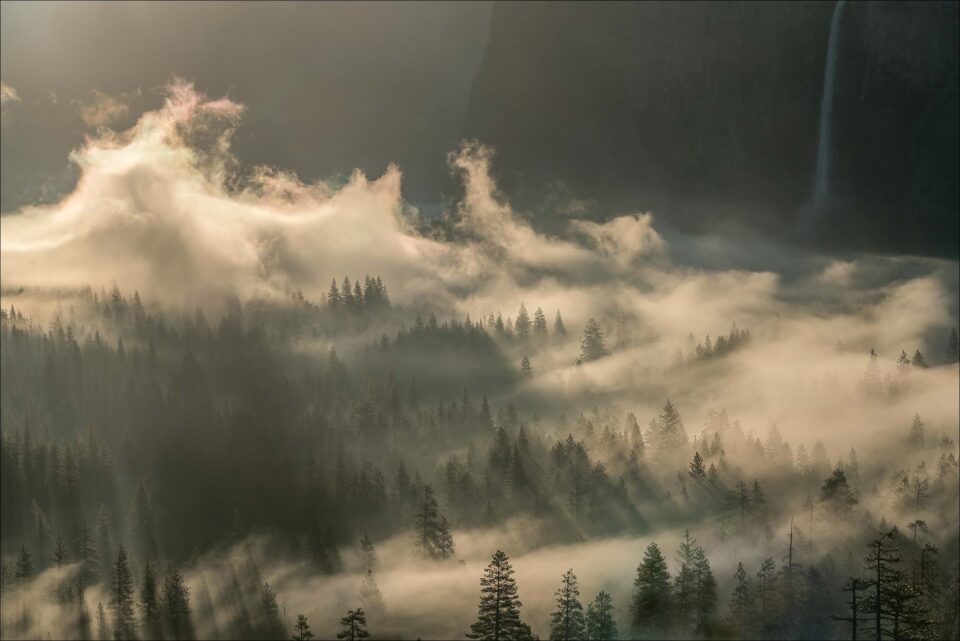 Niebla matutina naciente su14