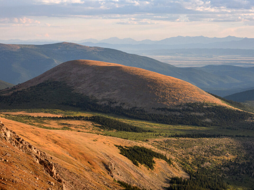 Muestra de imagen de Nikon Coolpix P1000 (1)