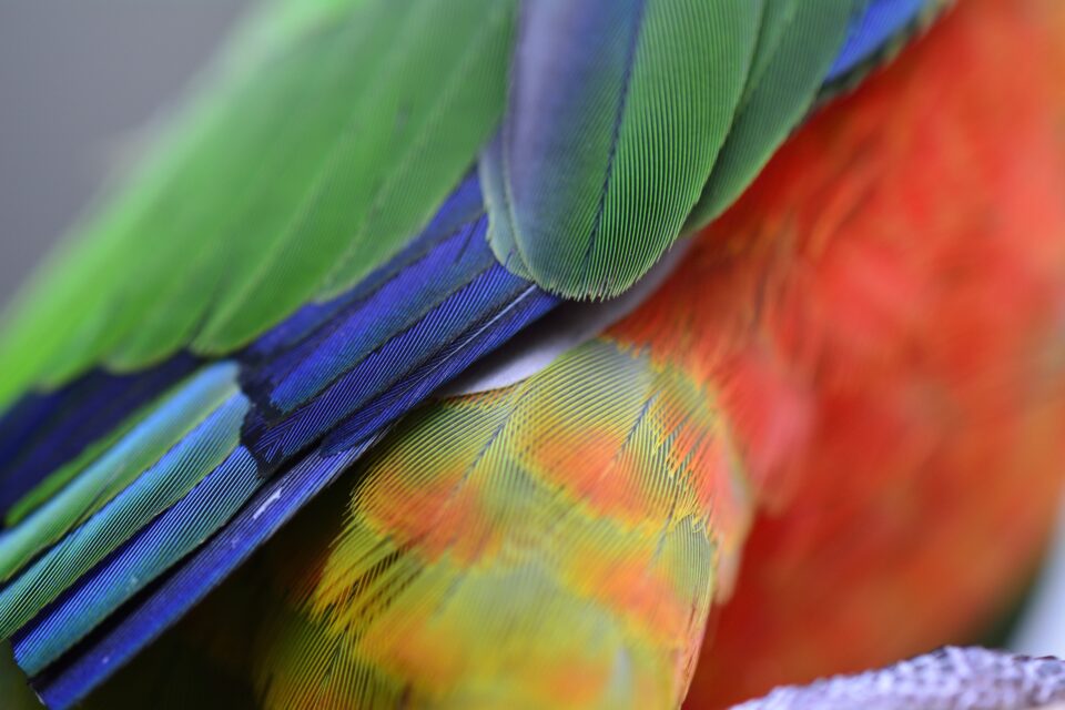 Imagen de muestra de Nikon D5200 (5)