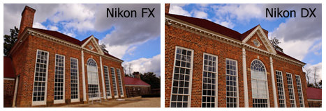 Nikon FX y DX - Campo de visión