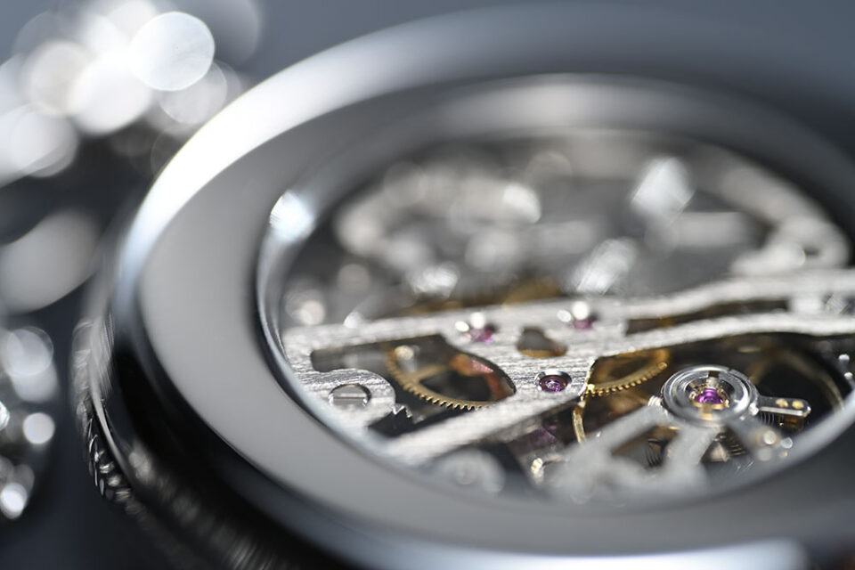 Nikon Z 105mm f2.8 Macro Foto oficial de muestra